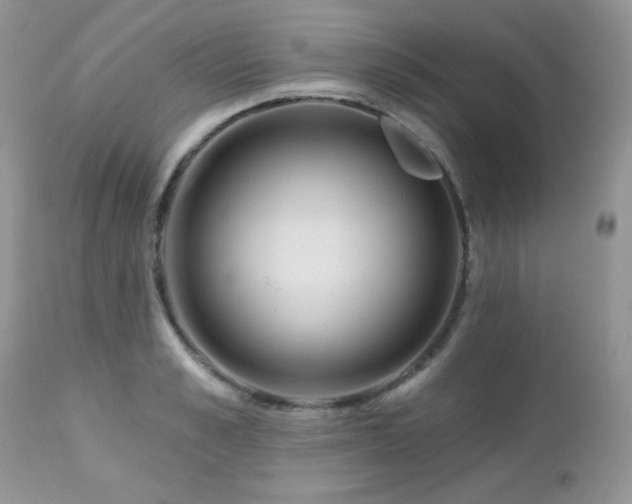 X0000112460989200908171158