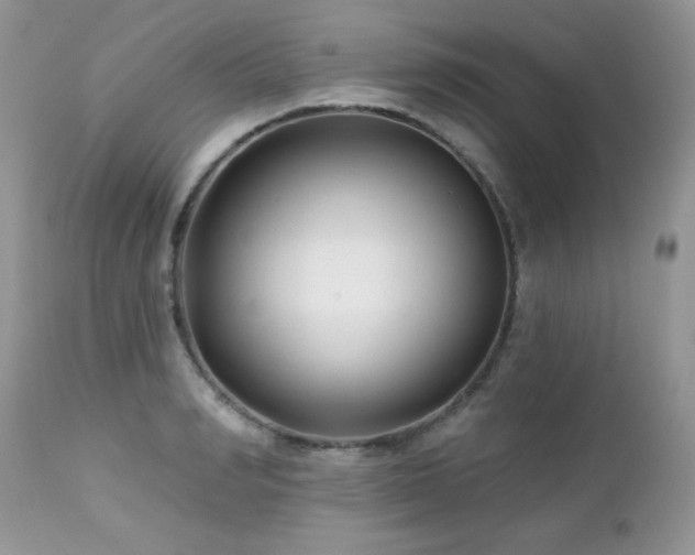 X0000112460990200908171158