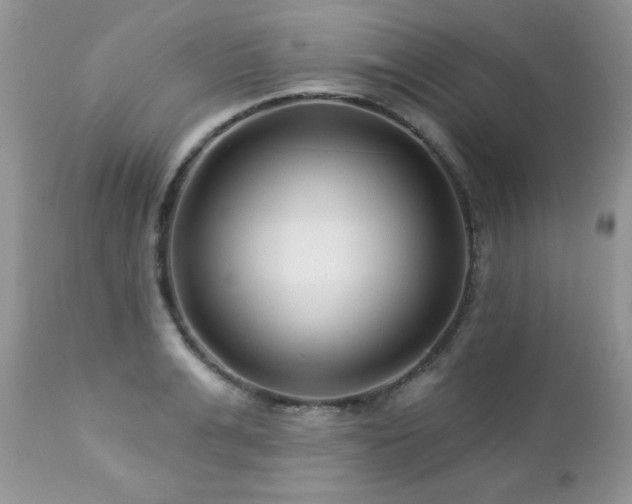X0000112460991200908171158