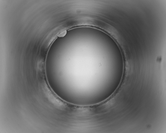 X0000112460993200908171158