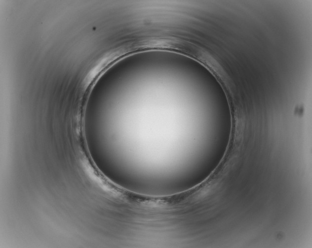 X0000112460994200908171158