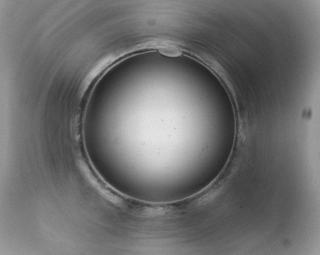X0000112460997200908171158