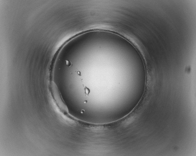 X0000112460999200908171158