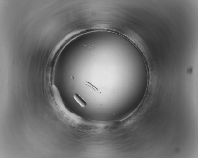 X0000112461000200908171158