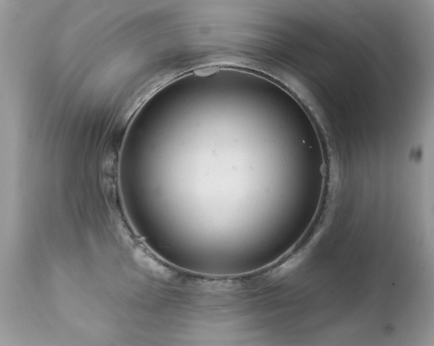 X0000112461001200908171158