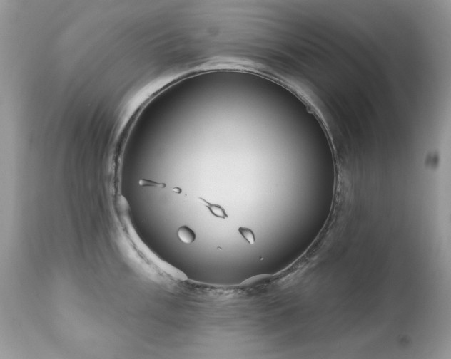 X0000112461003200908171158