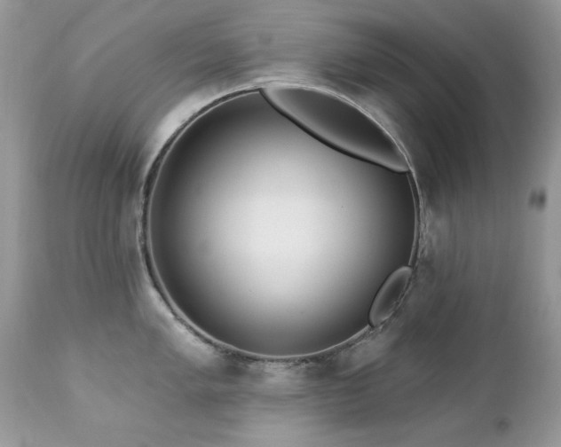 X0000112461005200908171158
