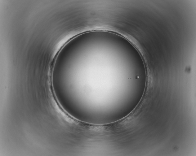 X0000112461006200908171158