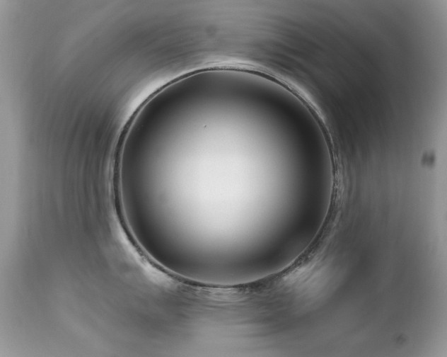 X0000112461007200908171158