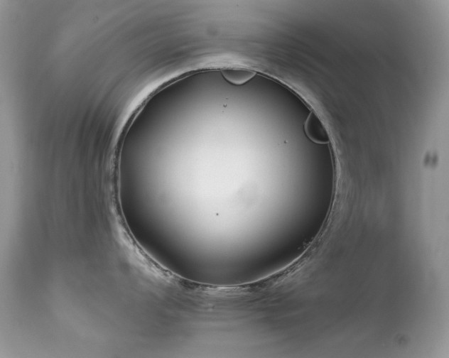 X0000112461008200908171158