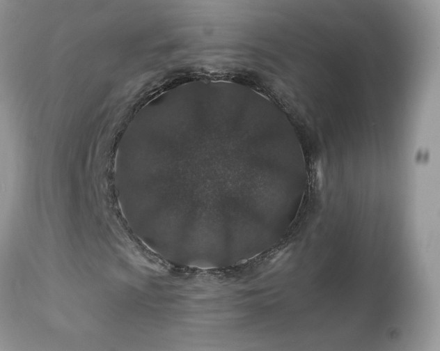 X0000112461009200908171157