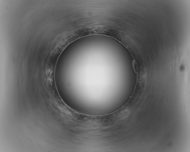 X0000112461010200908171157