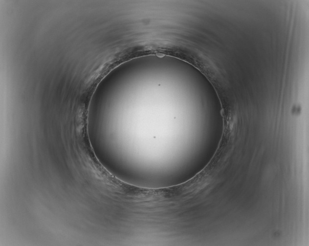X0000112461012200908171157