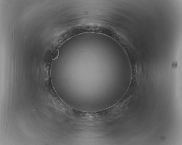X0000112461013200908171157