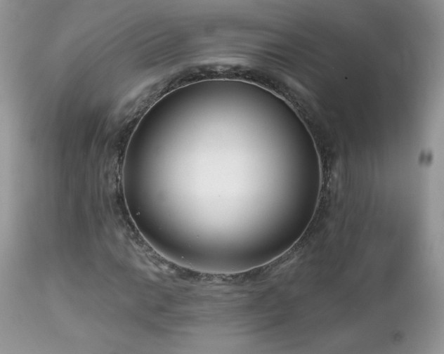 X0000112461014200908171157