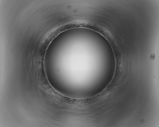 X0000112461016200908171157