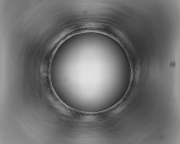 X0000112461017200908171157