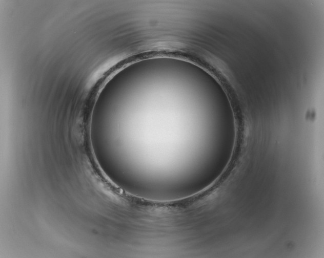 X0000112461018200908171157
