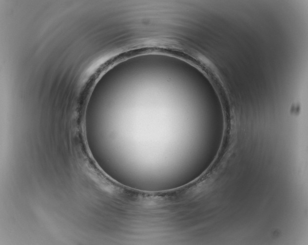 X0000112461019200908171157