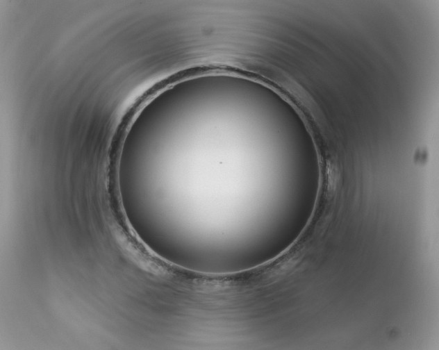 X0000112461020200908171157