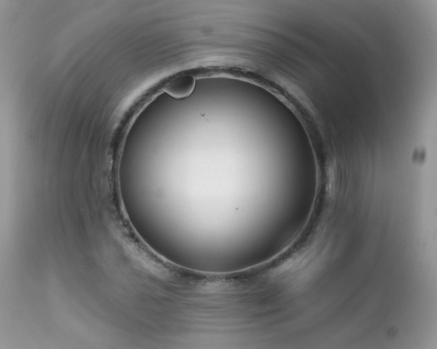 X0000112461021200908171157