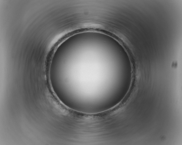 X0000112461022200908171157