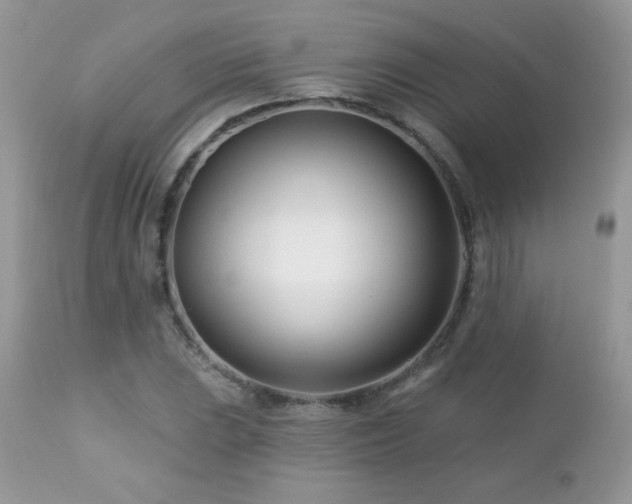 X0000112461023200908171157