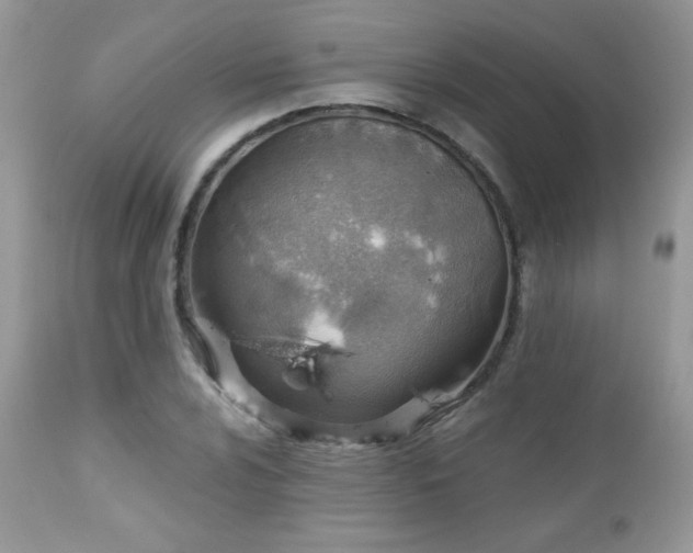 X0000112461024200908171157
