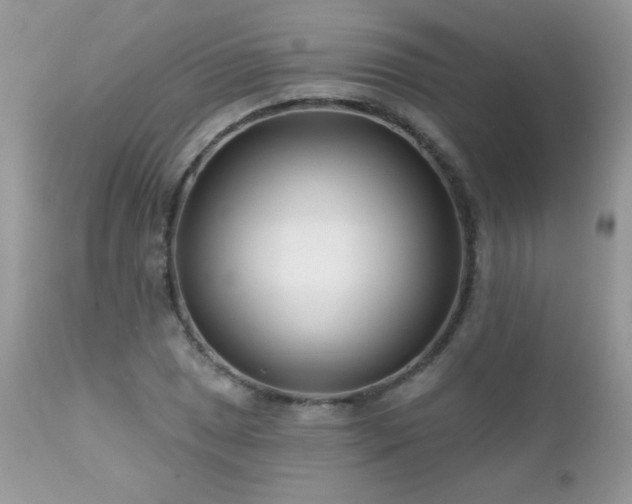 X0000112461025200908171157