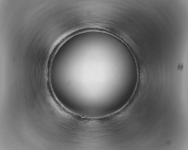 X0000112461028200908171158