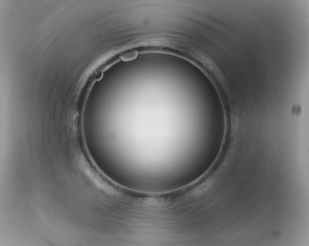 X0000112461029200908171158