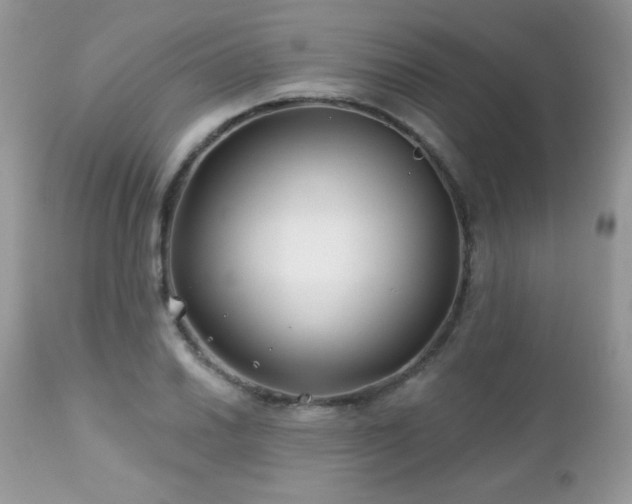 X0000112461030200908171158