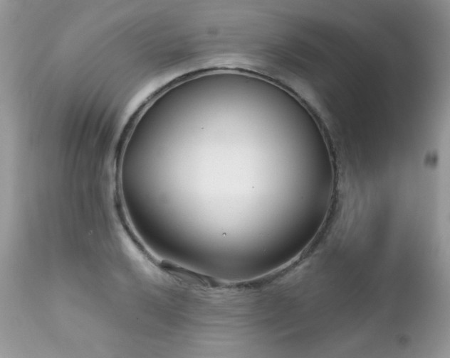 X0000112461032200908171158