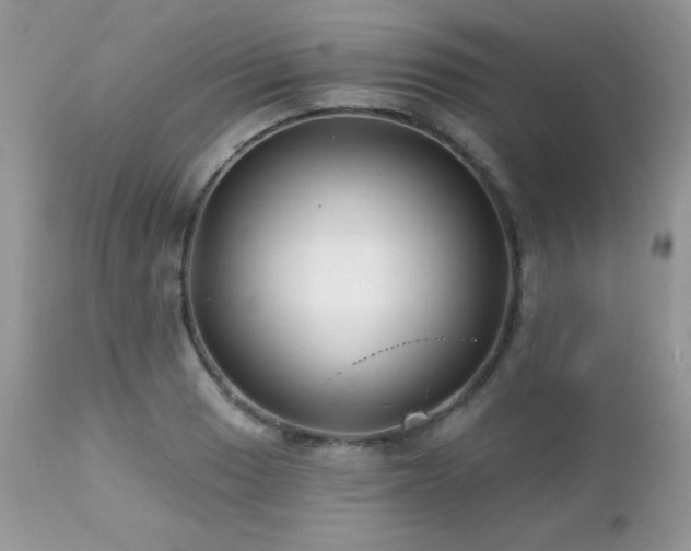 X0000112461033200908171158
