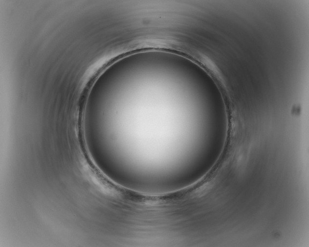 X0000112461035200908171158