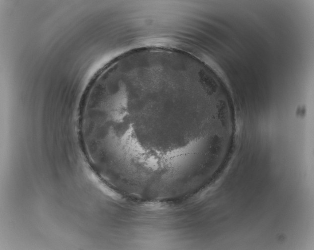 X0000112461037200908171158
