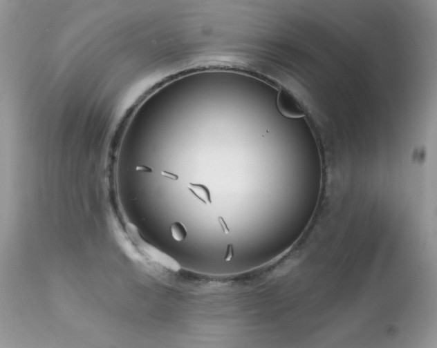 X0000112461038200908171158