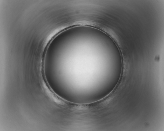 X0000112461040200908171158