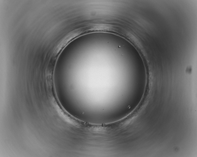 X0000112461041200908171158