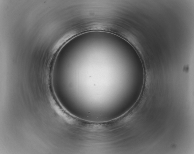 X0000112461042200908171158