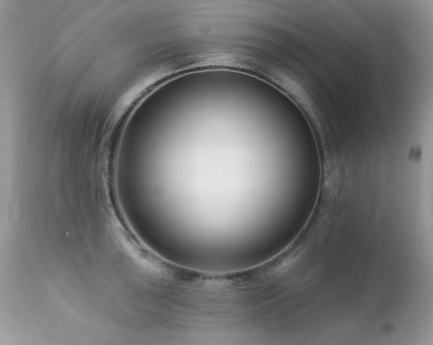 X0000112461043200908171158