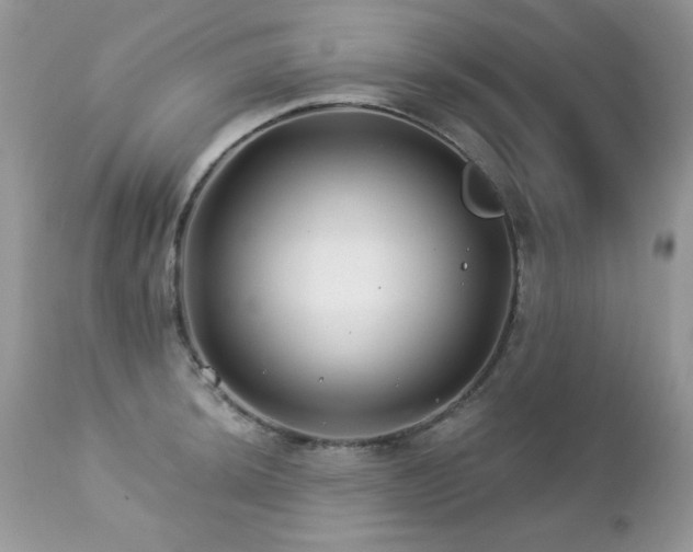 X0000112461044200908171158