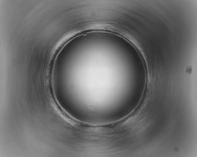 X0000112461045200908171158