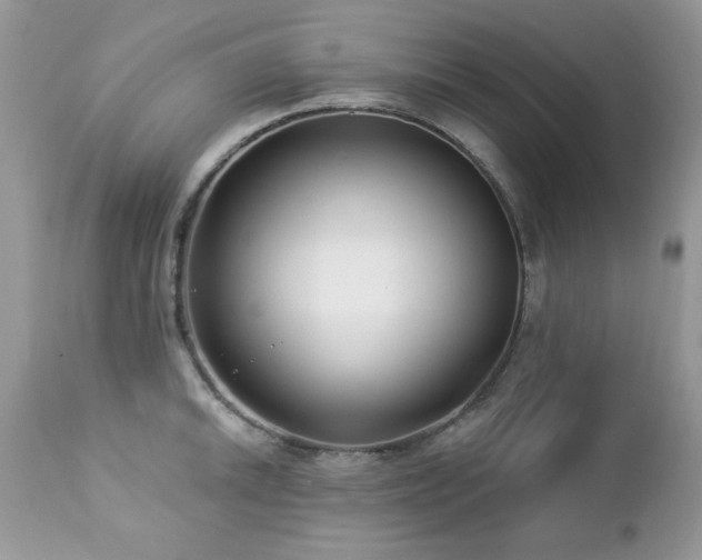 X0000112461046200908171158