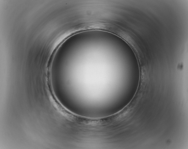 X0000112461047200908171158