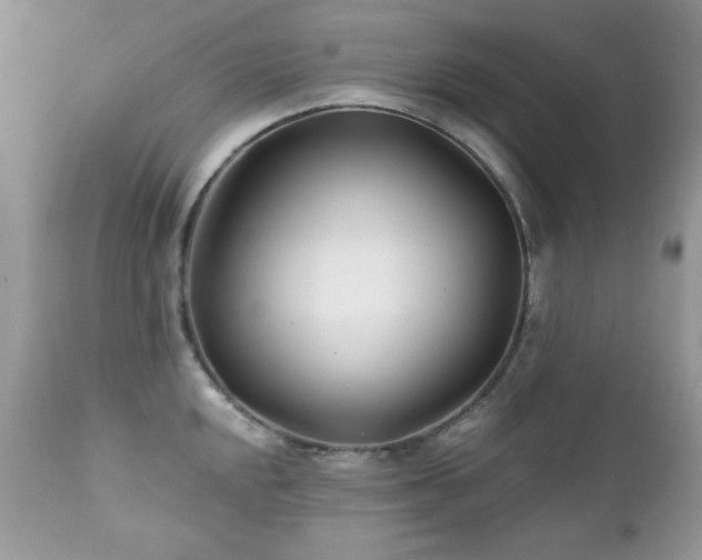 X0000112461048200908171158