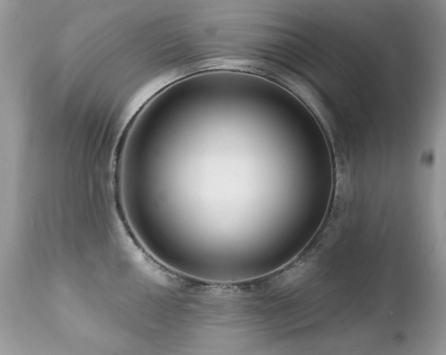 X0000112461050200908171158