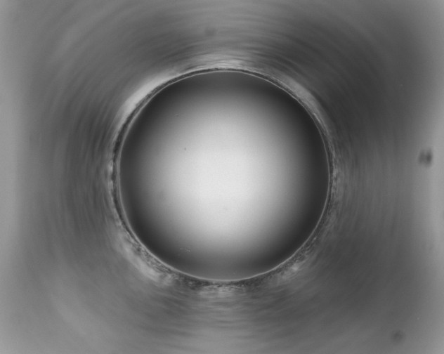 X0000112461051200908171158