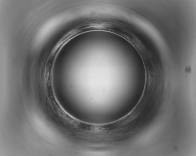 X0000112461052200908171158