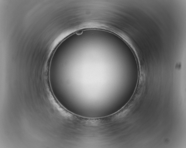 X0000112461053200908171158